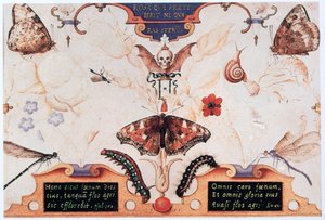 Diptych s květinami a hmyzem, 1591. od Joris Hoefnagel