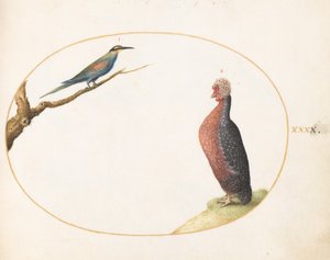  od Joris Hoefnagel