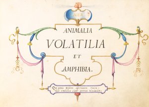 Titulní strana od Joris Hoefnagel