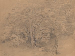 Studie o stromech od Josef Kriehuber