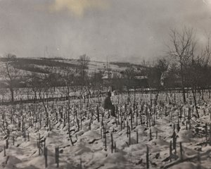 Album "Moje světová válka - vzpomínky na jihozápadní frontu v Korutanech, Itálie, Trentino-Alto Adige) 31.3.1915-12.11. 1918 - Josef Zohles Vídeň ": vojenský hřbitov (č/b foto od Josef Zohles