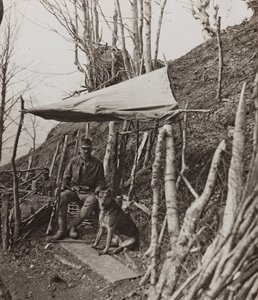 Album "Moje světová válka - vzpomínky na jihozápadní frontu v Korutanech, Itálie, Trentino-Alto Adige) 31.3.1915-12.11. 1918 - Josef Zohles Vídeň ": vojenský pes pod stanem ( od Josef Zohles