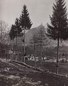 Album "Moje světová válka - vzpomínky na jihozápadní frontu v Korutanech, Itálie, Trentino-Alto Adige) 31.3.1915-12.11. 1918 - Vídeň Josefa Zohleho ": trosky Pliczna (č/b foto od Josef Zohles