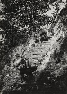 Album "Moje světová válka - vzpomínky na jihozápadní frontu v Korutanech, Itálie, Trentino-Alto Adige) 31/03/1915-12/11/ 1918 - Josef Zohles Wien ": Armádní mezci podél strmé deště od Josef Zohles