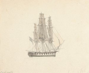 Single Hermafrodit Brig