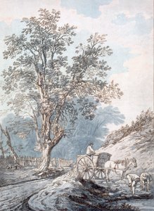 Vůz a kůň, 18. století. od Joseph Constantine Stadler