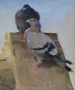Holubi na střeše (kvaš na plátně) od Joseph Crawhall