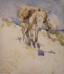 Tanger (wc na papíře) od Joseph Crawhall