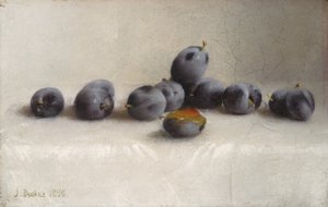 Dvanáct švestek, 1896