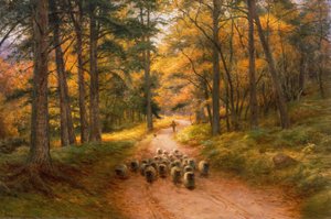 Homewards (olej na plátně)