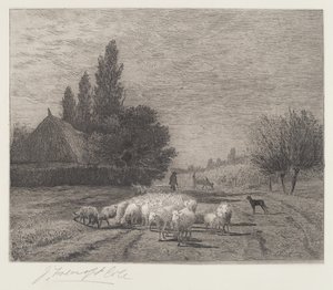 Village Street ve Francii se stádem ovcí