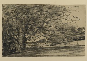 Studie o stromech, 1870 (grafit na papíře)