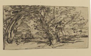 Studie o stromech, 1870 (grafit na papíře)