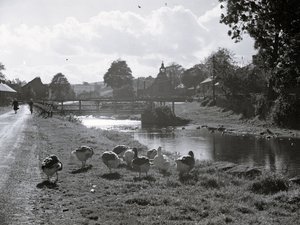 Pohled na potok s mostem přes něj, v popředí husy a v pozadí budovy a něco, co vypadá jako kostel; architektura; náboženská; církevní; od Joseph Hardman