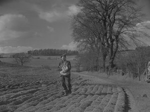Muž, který ručně zasévá osivo od Joseph Hardman