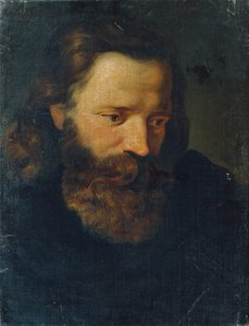 Studijní hlava vousatého muže I od Joseph Hasslwander