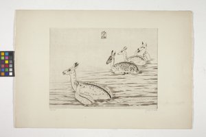 Cerfs Indochinois I (Indočínský jelen I) (rytina na krémově tkaném papíru) od Joseph Hecht