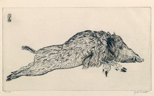 Divoké prase (Le Sanglier) (rytina) od Joseph Hecht