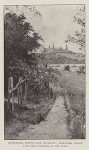 Churchyard Bottom Wood, Highgate, Alexandra Palace z předměstí lesa od Joseph Holland Tringham