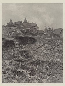 Prohlášení královny Madagaskaru svému lidu od Joseph Holland Tringham