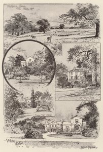 Bílá chata od Joseph Holland Tringham