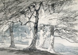 Norbury Park, Surrey (tužka a akvarel na papíře) od Joseph Mallord William (attr.to) Turner