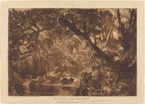 Aesacus a Hesperie od Joseph Mallord William Turner