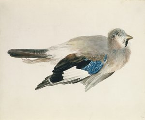 Závěsný od Joseph Mallord William Turner