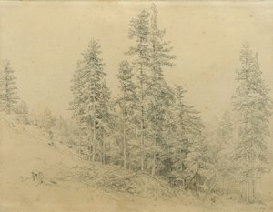Drahý zub od Joseph Martin Höger