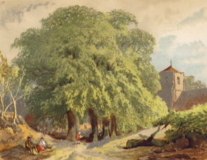Vesnická scéna, lípy (barevná litografie)