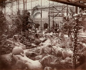Crystal Palace v Londýně: tropická část, kolem roku 1870 (černobílá fotografie)