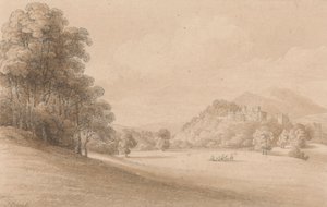 Dunster Castle, Somerset: Zobrazení hradu v dálce