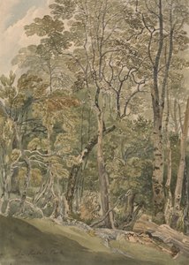 V Rydal Parku