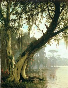 V Bayou