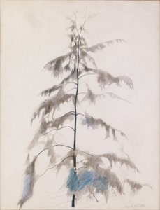 Pine Tree od Joseph Stella