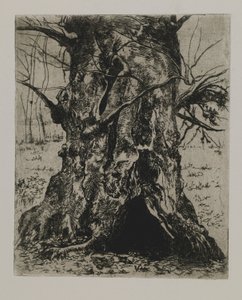 Bez názvu - Kmen stromu od Joseph Stella