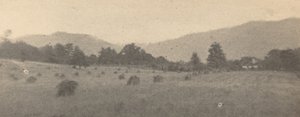 Krajina se stromy a horami