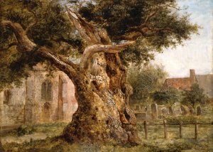 Starý dub, 1870