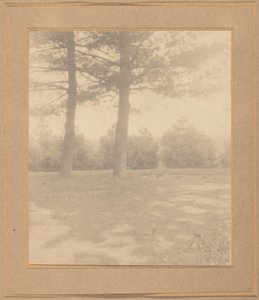 Krajina se stromy, c. 1900.