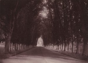 Příjezdová cesta, Château de Grand-Vaux, Savigny-sur-Orge, rodinné sídlo Vigierů, asi 1855 (foto) od Joseph Vigier