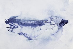 Abstrakt: Modrý pták od Joshua Hoskins