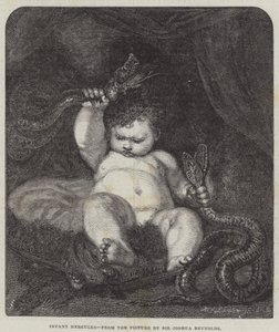 Nemluvně Herkules od Joshua Reynolds