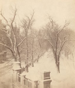 Boston Common Snow Scéna