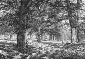 V Sherwoodském lese, c1875.