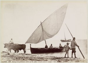 Ossen trekken vissersboot het strand op ve Valencii VALENCE.- Rybářská loď nakreslená na písku. (z přírody) (název na předmětu)