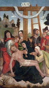 Depozice (panel)