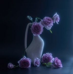  od Judy Tseng