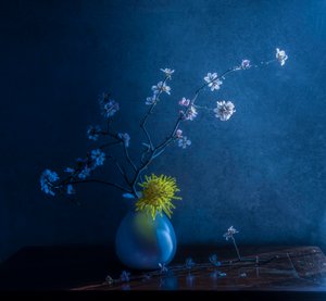  od Judy Tseng