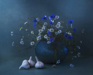  od Judy Tseng
