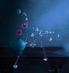  od Judy Tseng